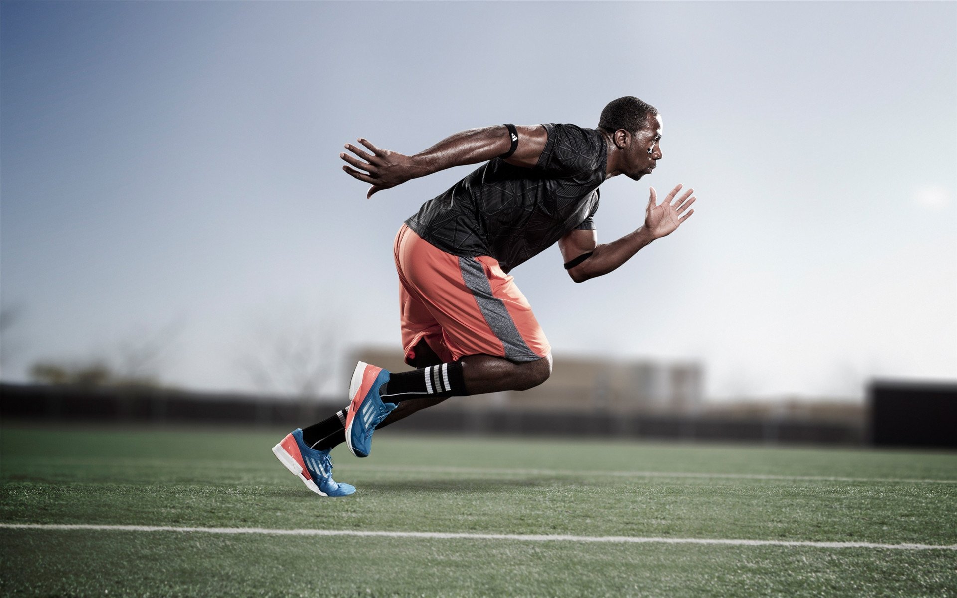 世界田径锦标赛中国选手再创佳绩，世界田径锦标赛冠军